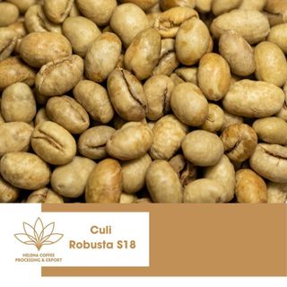 Cà phê nhân Robusta Culi Peaberry Daklak - Loại 1 sàn S18