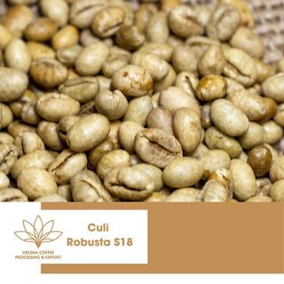 Cà phê nhân Robusta Culi Peaberry Daklak - Loại 1 sàn S18