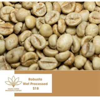 Cà phê nhân Robusta Chế Biến Ướt Xuất Khẩu - Loại 1 sàn S16, S18