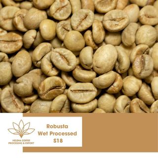 Cà phê nhân Robusta Chế Biến Ướt Xuất Khẩu - Loại 1 sàn S16, S18