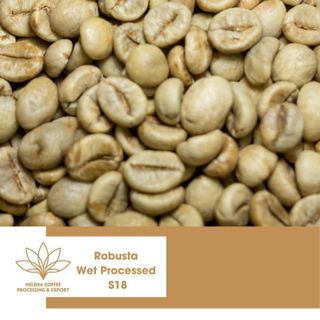 Cà phê nhân Robusta Chế Biến Ướt Xuất Khẩu - Loại 1 sàn S16, S18