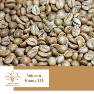 Cà Phê Nhân Robusta Chế Biến Honey chuẩn Xuất Khẩu - Sàn S16, S18