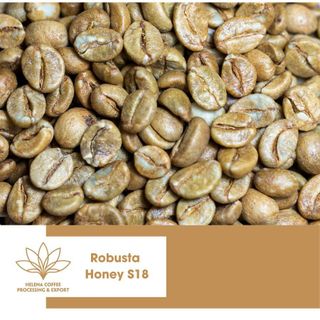 Cà Phê Nhân Robusta Chế Biến Honey chuẩn Xuất Khẩu - Sàn S16, S18