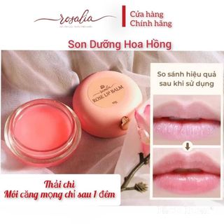 Son Dưỡng ROSE LIP BALE Rosalia _ Chiết Xuất Hoa Hồng Hữu Cơ _ Giúp Môi Căng Bóng Và Được Thải Chì Lọ 10g giá sỉ