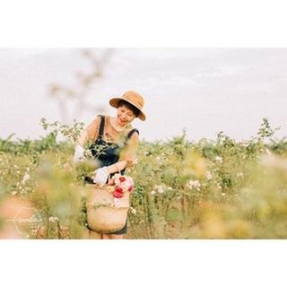 Son Dưỡng ROSE LIP BALE Rosalia _ Chiết Xuất Hoa Hồng Hữu Cơ _ Giúp Môi Căng Bóng Và Được Thải Chì Lọ 10g
