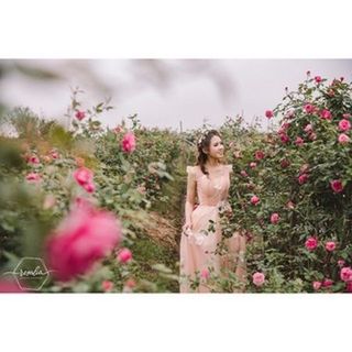 Nước Hoa Hồng ROSALIA Cấp Ẩm, Se Khít Lỗ Chân Lông, Cân Bằng PH 100ml