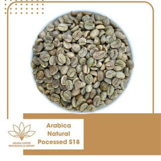 Cà phê nhân Arabica chế biến tự nhiên - S18, S16 giá sỉ
