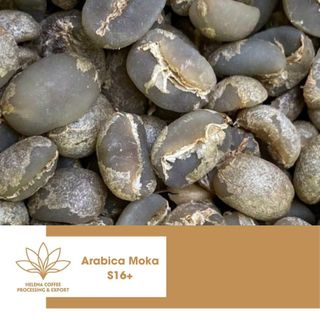Hạt cà phê Arabica Moka Cầu Đất S16 +