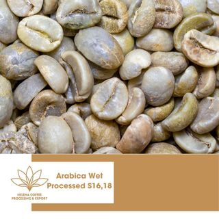 Cà phê nhân Arabica chế biến ướt Việt Nam (Rửa hoàn toàn) - Loại 1 (S16, S18)