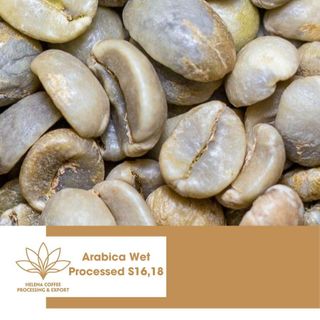 Cà phê nhân Arabica chế biến ướt Việt Nam (Rửa hoàn toàn) - Loại 1 (S16, S18)