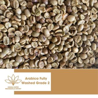 Cà phê Arabica chế biến ướt loại 2 - Cà phê Arabica thương mại