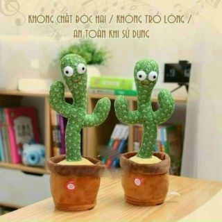 Cây xương rồng biết múa