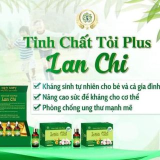 Tính chất tỏi plus Lan Chi