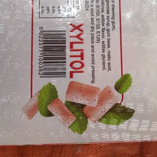 Kẹo cao su Xylitol cool mint