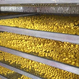 Viên Nghệ Ong Chúa Loại 1