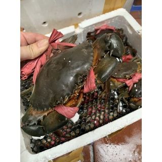 Cua Cà Mau Tươi Sống Đủ Loại (1kg)