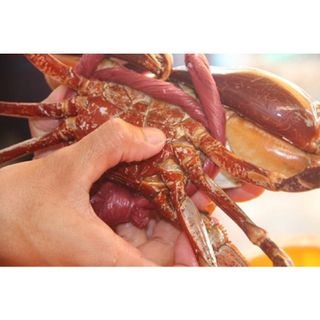 Cua Cà Mau Tươi Sống Đủ Loại (1kg)
