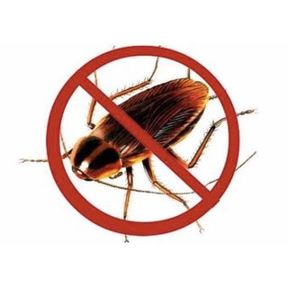 Bình Xịt Gián Muỗi Côn trùng
