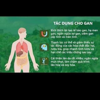 Trà Atiso túi lọc Vũ Ngân 🥰 NHẬP SỈ NGAY - LỜI TỪ 100K/KG NÀY! Đặc Sản Đà Lạt - Atiso nguyên chất, tốt cho sức khỏe: ngủ ngon, mát gan, đẹp da,...gói 200g/100 túi lọc