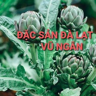 Trà Atiso túi lọc Vũ Ngân 🥰 NHẬP SỈ NGAY - LỜI TỪ 100K/KG NÀY! Đặc Sản Đà Lạt - Atiso nguyên chất, tốt cho sức khỏe: ngủ ngon, mát gan, đẹp da,...gói 200g/100 túi lọc
