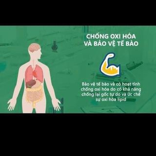Cao mềm ATISO hộp 500g - ATISO 100% NGUYÊN CHẤT - Ngủ ngon, mát gan, đẹp da,...🥰 NHẬP SỈ NGAY - LỜI TỪ 100K/KG NÀY!