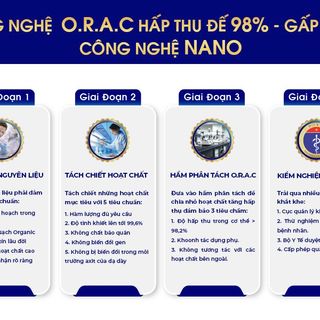 Collagen sụn cá mập xương khớp Whole