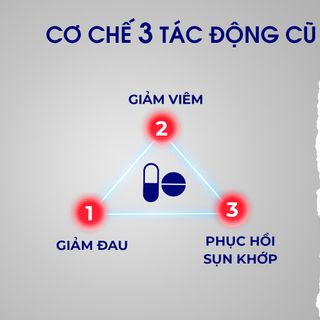 Collagen sụn cá mập xương khớp Whole