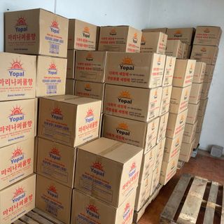 TÌM ĐẠI LÝ, CTV, NHÀ PHÂN PHỐI KINH DOANH NƯỚC GIẶT XẢ YOPAL- HÀNG HỮU CƠ AN TOÀN- GIÁ SIÊU TỐT