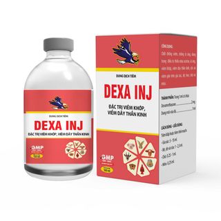 Thuốc Thú Y Dexa INJ Châu Thành Kháng Viêm Cho Chó, Heo, Bò, Trâu, Cừu, Dê chai 100ml giá sỉ