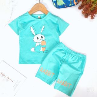 Bộ bé gái chất cotton 4 chiều