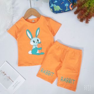 Bộ bé gái chất cotton 4 chiều