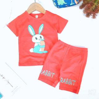 Bộ bé gái chất cotton 4 chiều