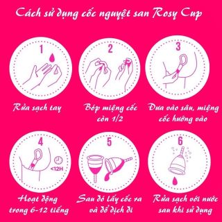 Cốc nguyệt san sỉ trọn bộ bao gồm gel khử trùng - Sài Gòn