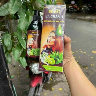 Gội bồ kết nâu
