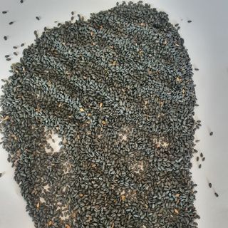 Hạt Mè Đen ( Vừng Đen )