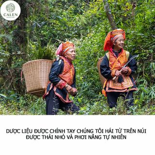 Sữa Tắm Nước Cốt Lá Dao Đỏ SAPA Giúp Trắng Hồng Da, Thải Độc, Giảm Tê Bì Nhức Mỏi Lọ