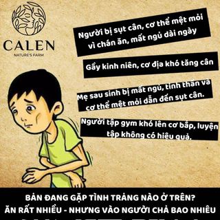 Trà Tăng Cân tăng cơ Calen, ăn ngon ngủ ngon cho người cơ địa gầy lâu năm,mập thịt, không tích nước