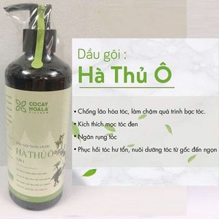 Dầu Gội Hà Thủ Ô Giảm Các Triệu Chứng Ngứa Da Đầu, Giảm Tóc Bạc Sớm, Làm Sạch Gàu