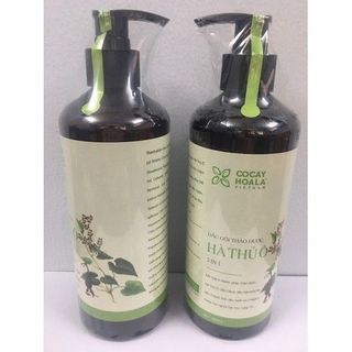 Dầu Gội Hà Thủ Ô Giảm Các Triệu Chứng Ngứa Da Đầu, Giảm Tóc Bạc Sớm, Làm Sạch Gàu