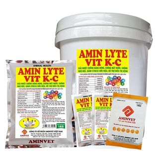 GÓI 100G AMINLYTE K C giá sỉ