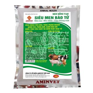 SIÊU MEN BÀO TỬ SIZE LỚN giá sỉ