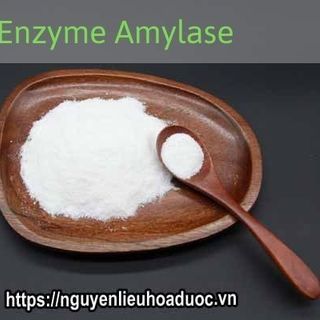 Enzyme Amylase phân giải tinh bột giá sỉ