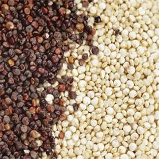 Hạt diêm mạch ba màu Absolute Organic - Túi 400gr