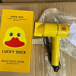Máy sấy vịt