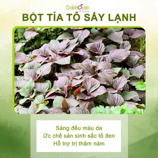 Dalahouse Bột Rau Củ Hữu Cơ Nguyên Chất hộp 60g Cần Tây, Củ Dền, Rau Má, Tía Tô, Diếp Cá, Hoa Đậu Biếc, Lúa Mì, Bó Xôi