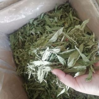 Cỏ ngọt nguyên lá hàng vip