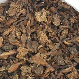 Nấm Ngọc Cẩu - Túi 500G