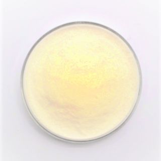 Biok - Men tiêu hóa Lacto dùng trong thủy sản