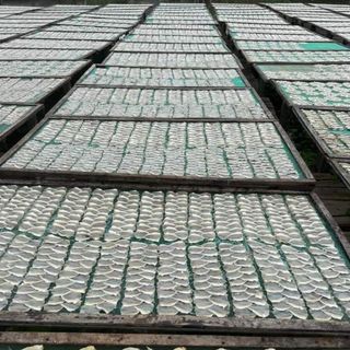 Cá Chỉ Vàng Khô, cá chỉ loại một, cá chỉ vàng mành thương hiệu - size 1kg