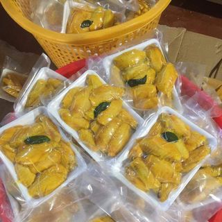Cánh khúc giữa